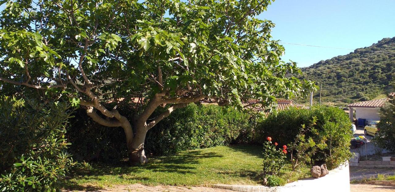 Casa Orvile San Lorenzo  Zewnętrze zdjęcie